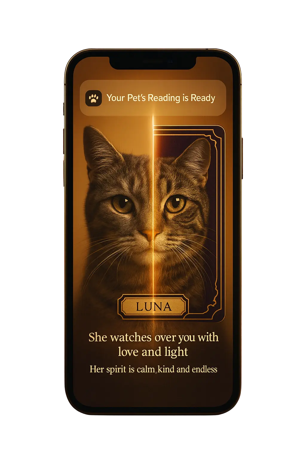 Example of a personalized pet tarot reading